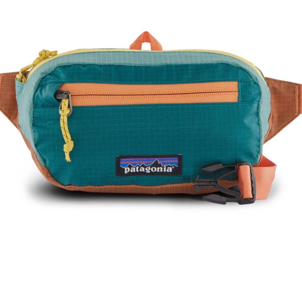 SALE 🍁 Patagonia Ultralight Black Hole® Mini Hip Pack 1L